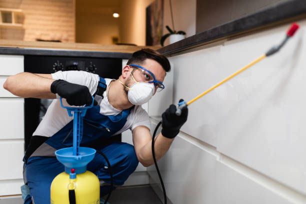Best Commercial Pest Control Services  in Kamiah, ID