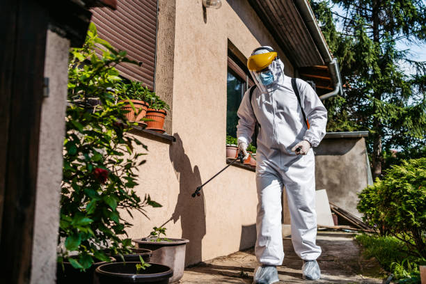 Best Residential Pest Control  in Kamiah, ID