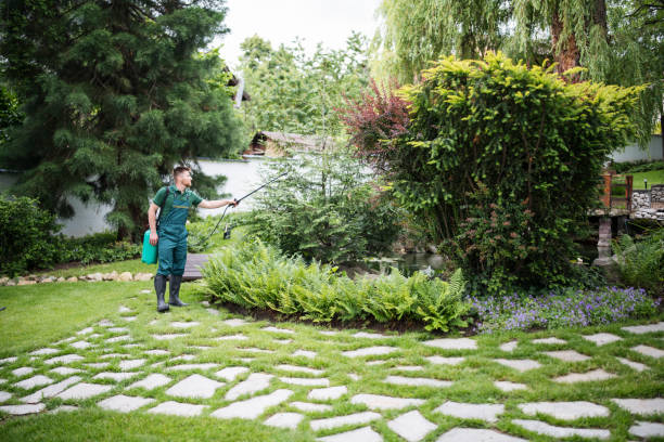 Best Affordable Pest Control Services  in Kamiah, ID