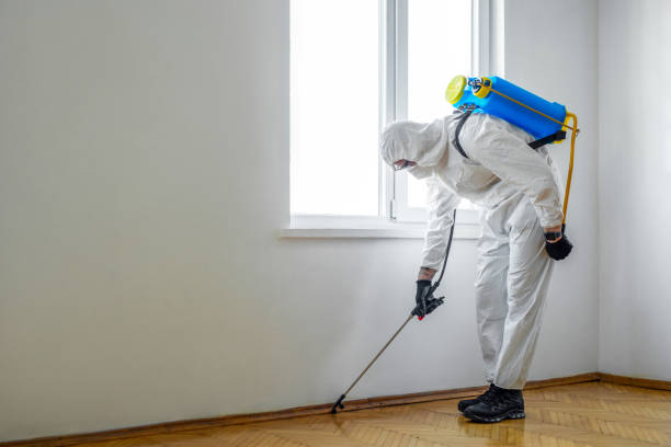 Best Wildlife Control Services  in Kamiah, ID