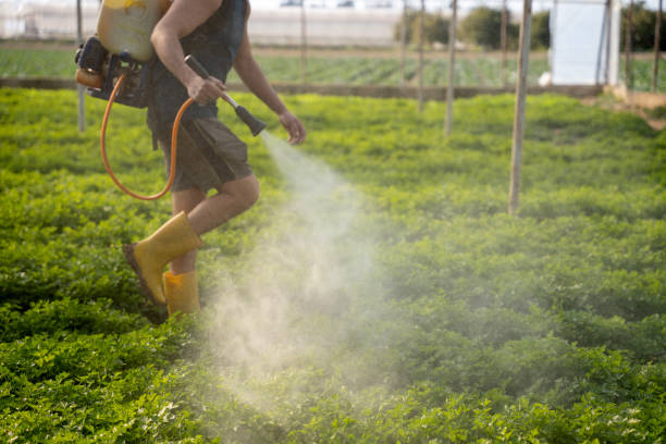 Best Exterminator Services  in Kamiah, ID