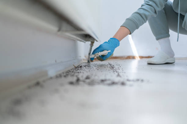 Best Cockroach Control Services  in Kamiah, ID