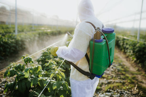 Best Cockroach Control Services  in Kamiah, ID